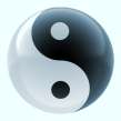 Kinesiology. Ying Yang Small